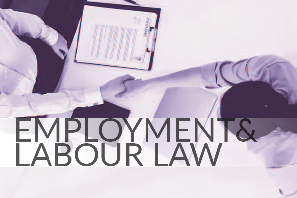 employment and labour law in malaysia